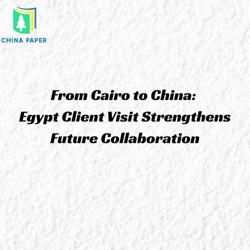 Dal Cairo alla Cina: la visita del cliente egiziano rafforza la collaborazione futura